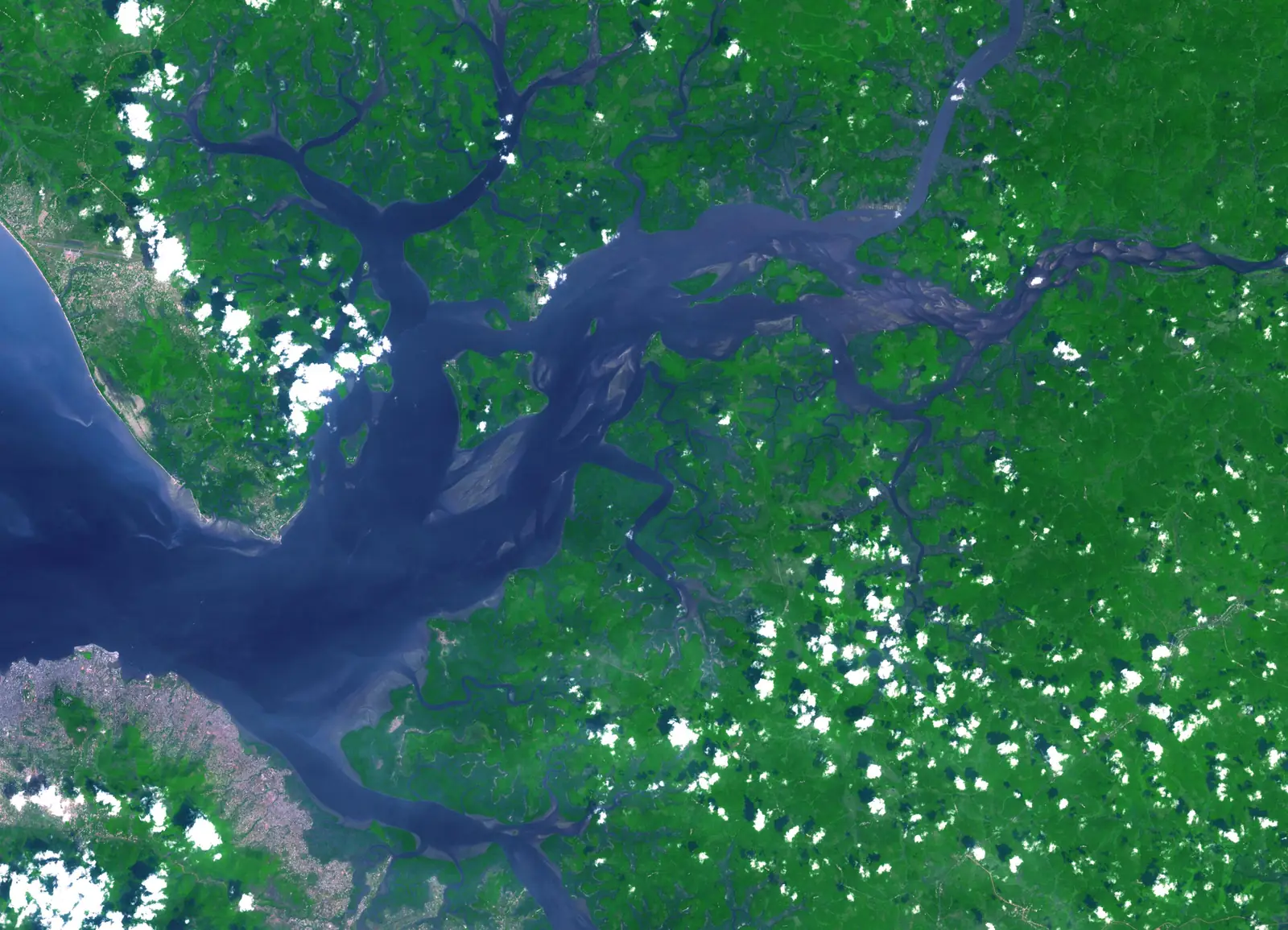 The Sierra Leone River estuary near Freetown seen from a satellite, with green forest and mangrove channels